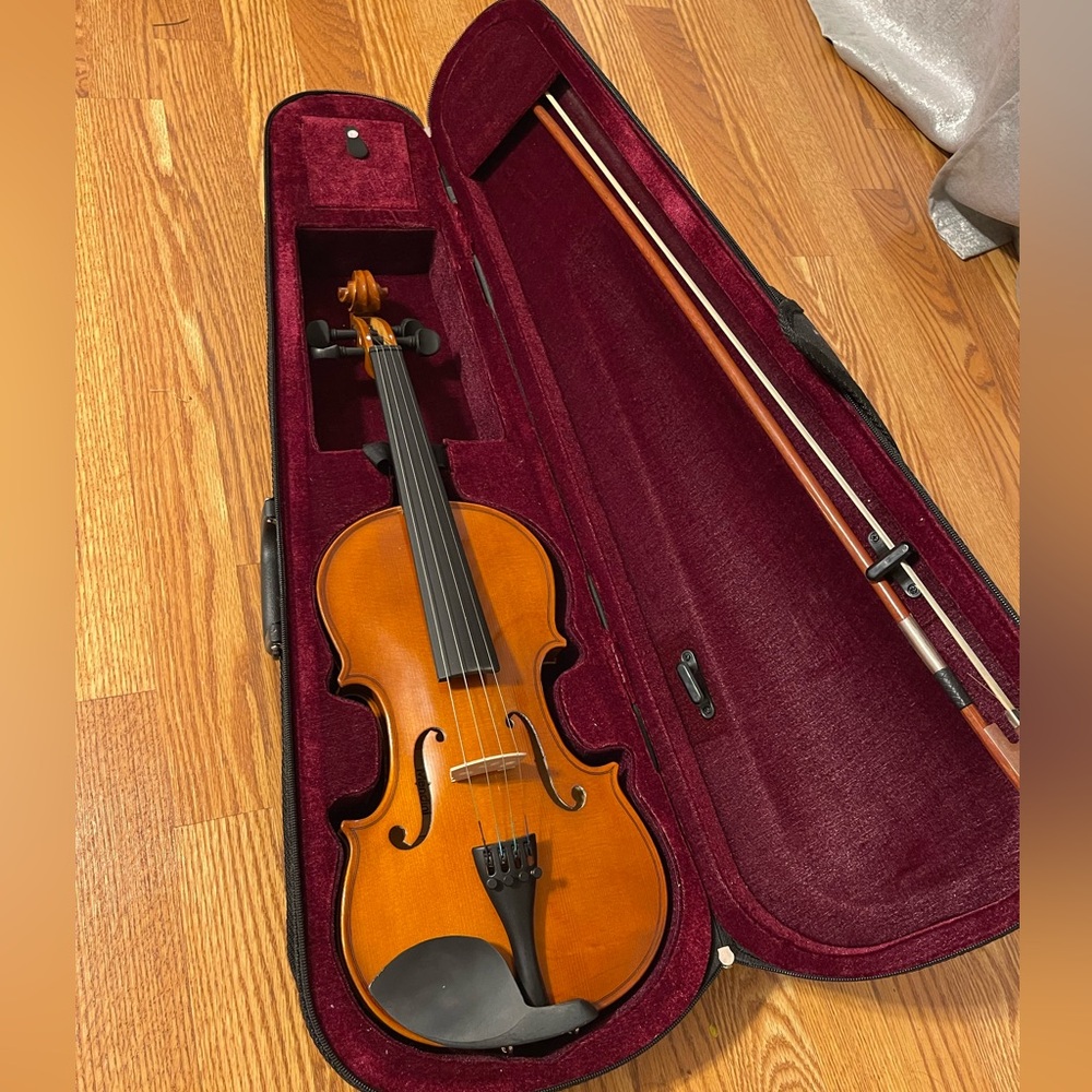 Beginner violin